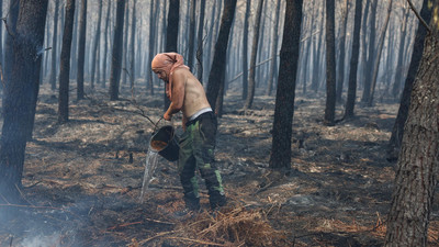 Waldbrände in Südeuropa: Eine Herausforderung für die Region
