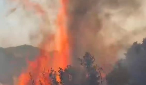 Mehr als 100 Brände: Auch in der Türkei lodern Flammen