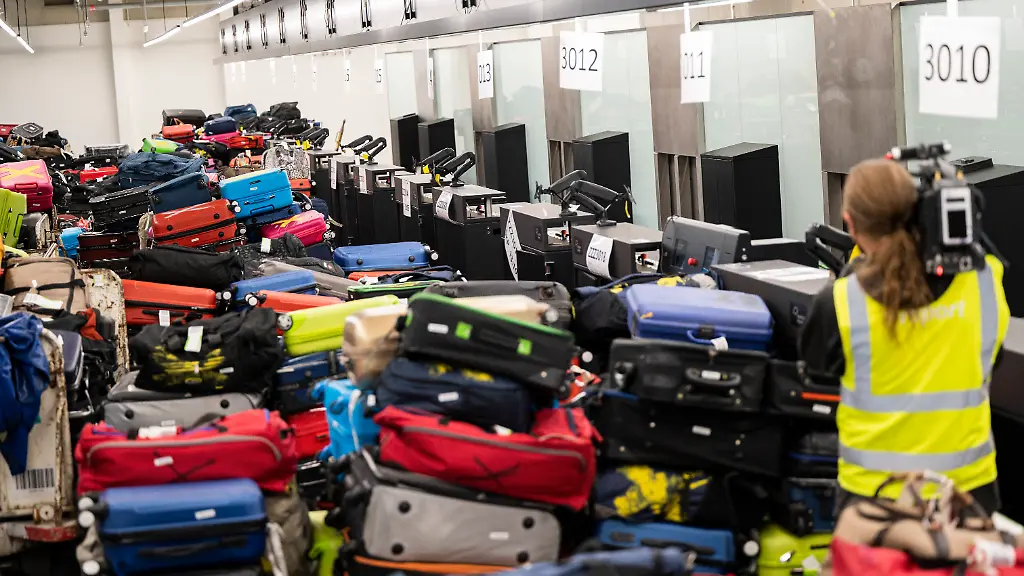 Malaria-Fälle am Frankfurter Flughafen: Mücke infiziert Mitarbeiter
