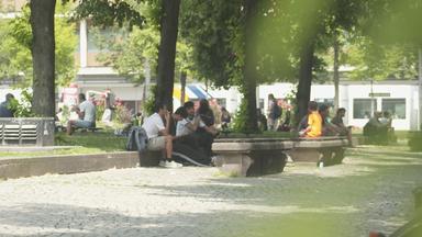 Hitze in Mannheim: Anpassung und Herausforderungen
