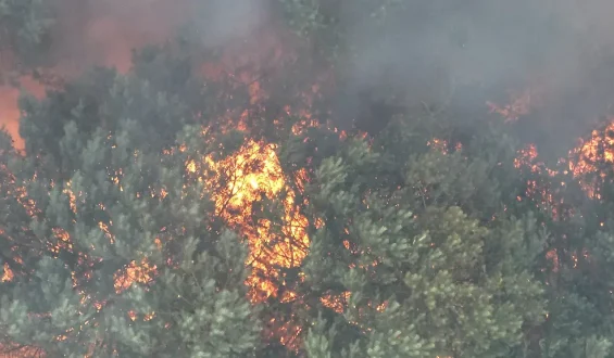 Feuer im Müritz-Nationalpark trotz Munitionsbelastung unter Kontrolle