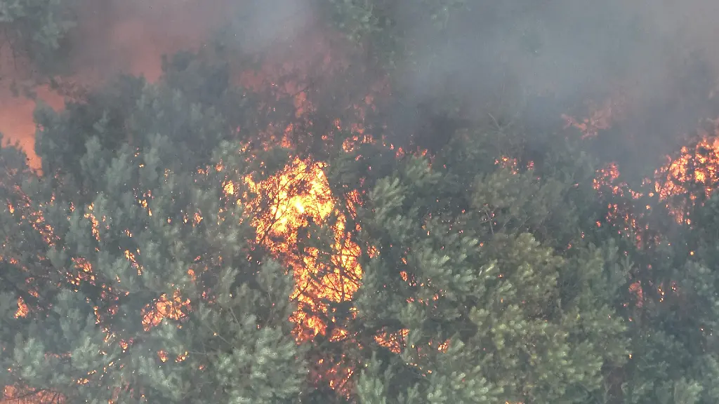 Feuer im Müritz-Nationalpark trotz Munitionsbelastung unter Kontrolle