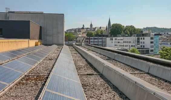 Neue Regelung bei Netzengpässen: Entschärfte Kürzungspläne bei Ökostrom-Förderung