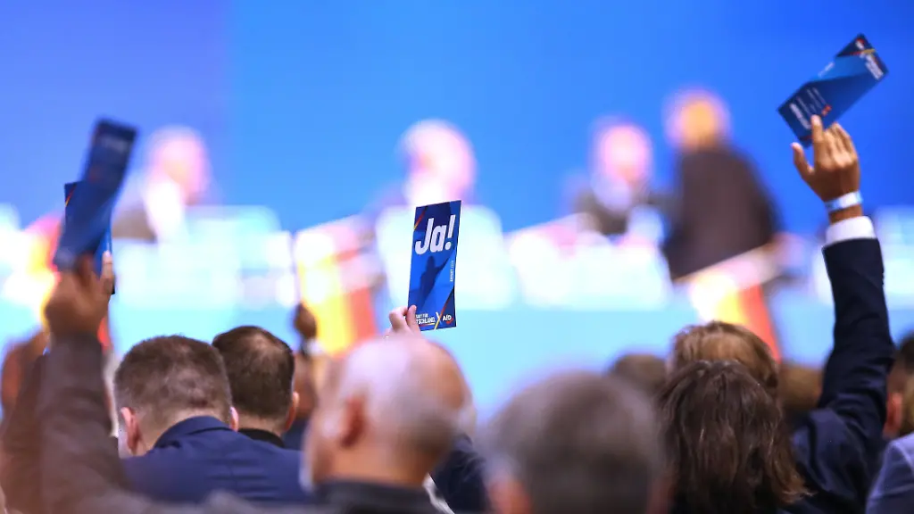 AfD-Parteitag in Erfurt: Proteste und Kontroverse
