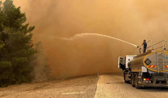 Waldbrände in Südeuropa: Auswirkungen und Gegenmaßnahmen