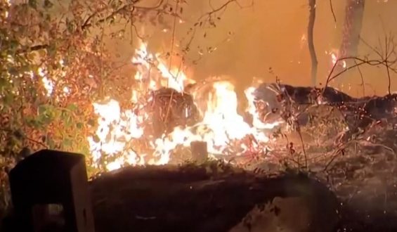 Hunderte Feuerwehrleute kämpfen gegen Flammen in Fontainebleau