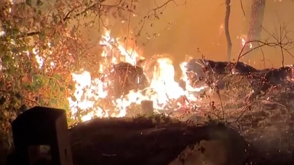 Hunderte Feuerwehrleute kämpfen gegen Flammen in Fontainebleau
