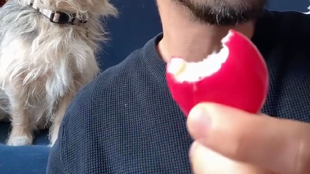 Verwirrung um den Babybel: Nicht jeder kennt die richtige Art zu essen