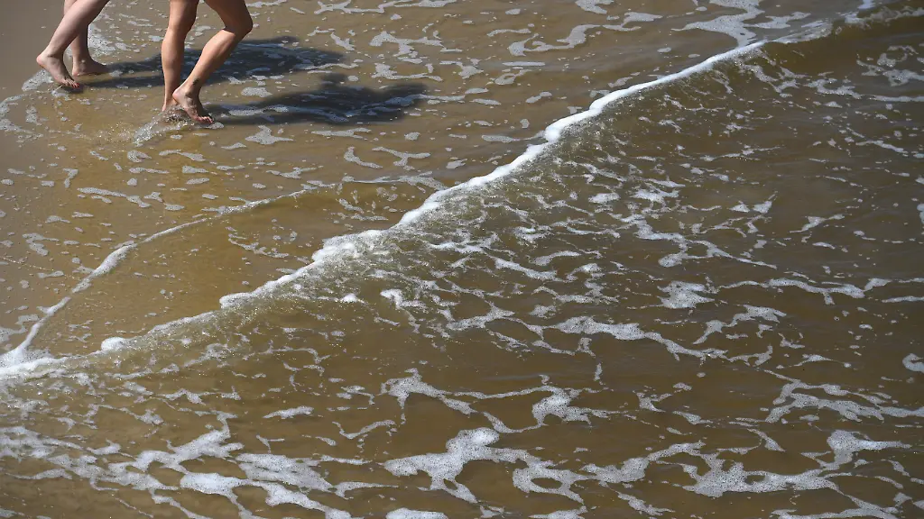 Gefährliche Vibrionen-Infektionen in der Ostsee
