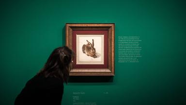 Das MuseumsQuartier Wien: Ein Zentrum für Kunst und Kultur