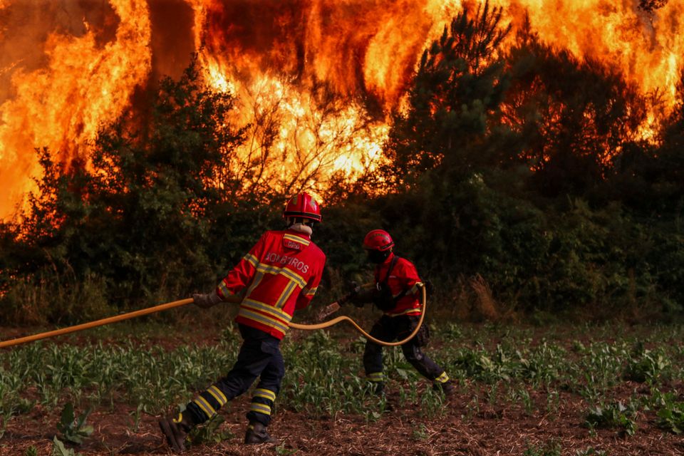 Zunahme der Waldbrände in Europa