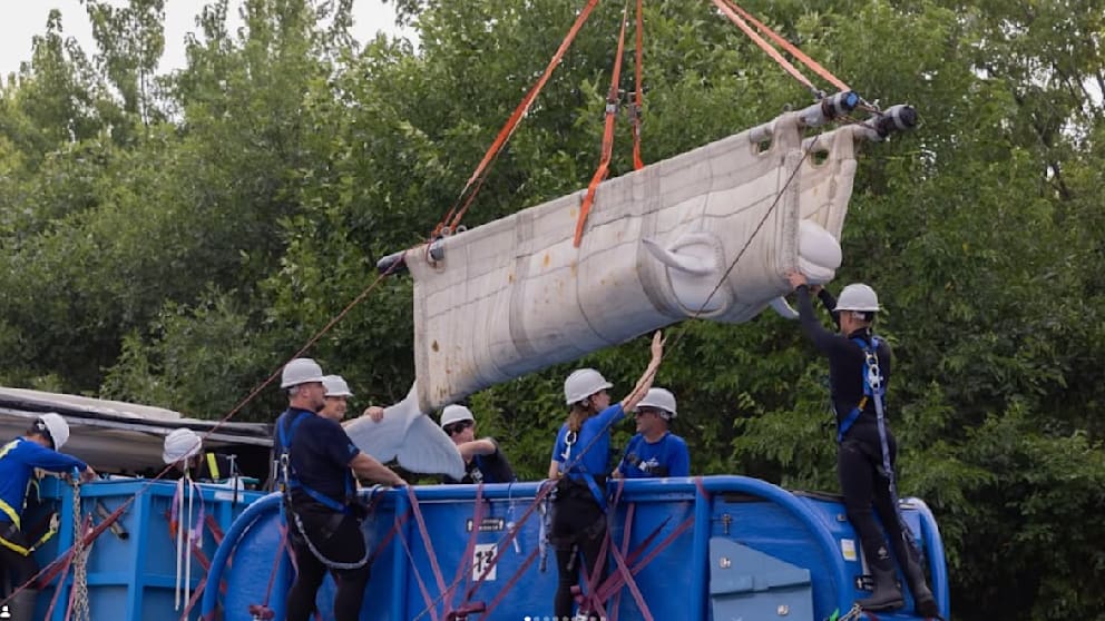 Beluga-Wale auf dem Weg in ein neues Zuhause in den USA