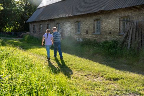 Hühnerzucht auf dem Bauernhof: Eine Praxisnaherlebnis