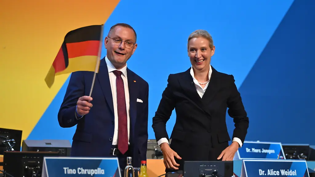AfD bestätigt Parteivorsitzende