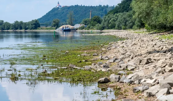 Wasserknappheit bedroht auch die Wirtschaft in Deutschland