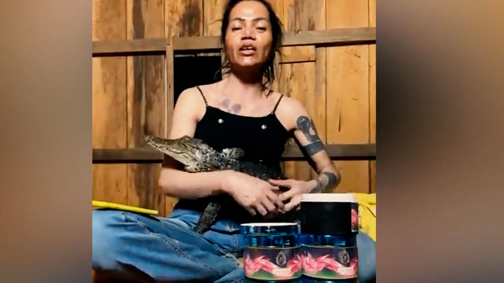 Kritik von Tierschützern: Krokodil beißt zu, mitten im Livestream