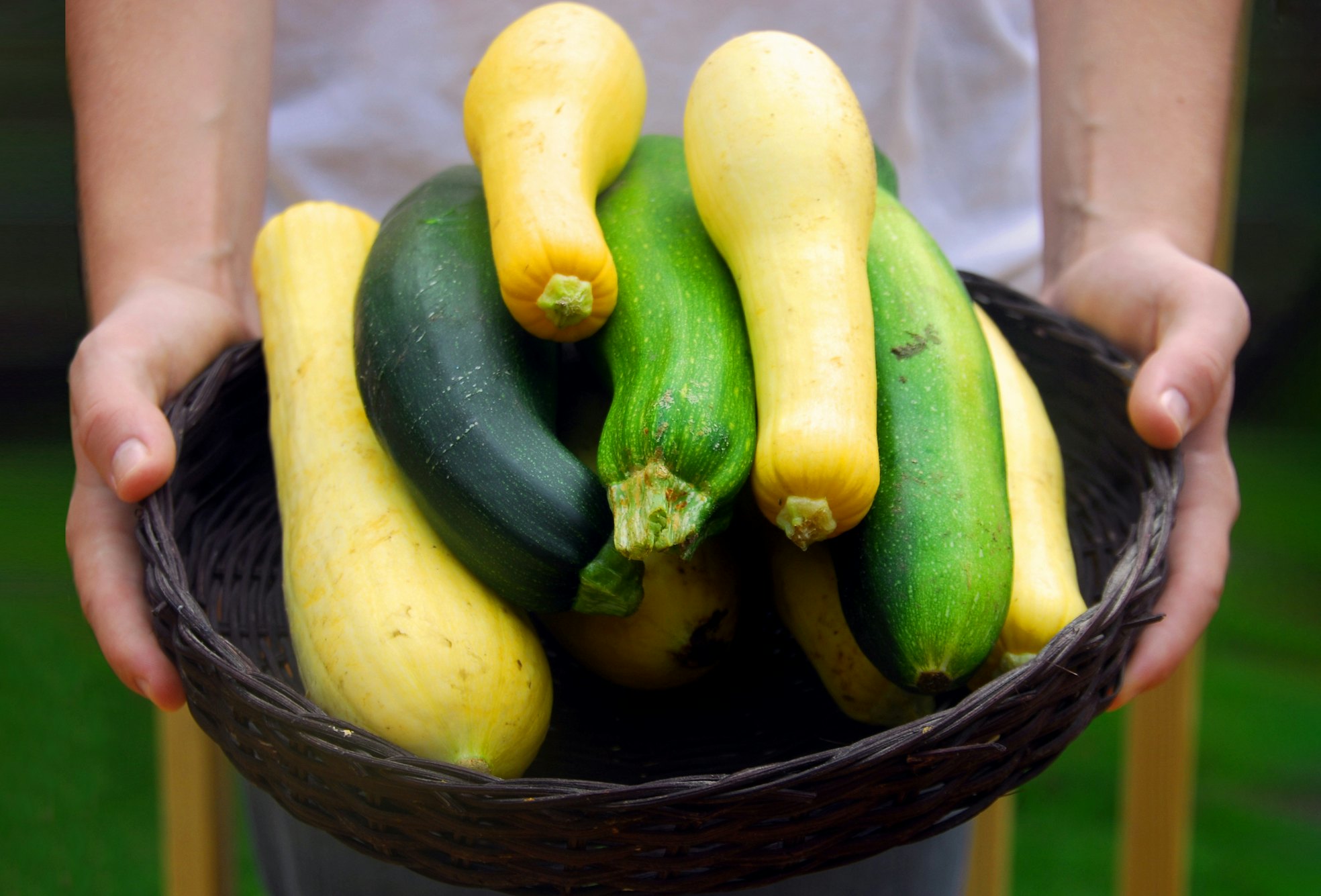 Ideen für den Überschuss an Zucchini im Gemüsegarten