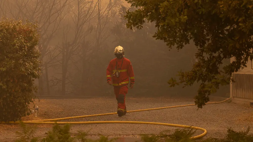 Grünen-Chefin fordert verstärkten Klimaschutz