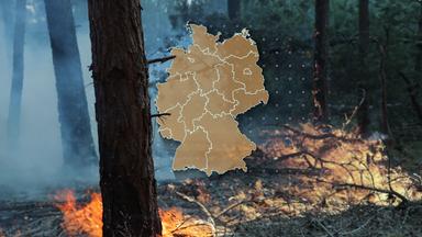 Trockenheit erhöht Waldbrandgefahr: Vorsichtsmaßnahmen und Schutz