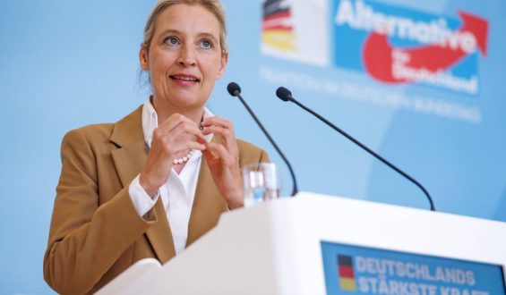 Machtkampf in der NRW-AfD: Weidels Grenze