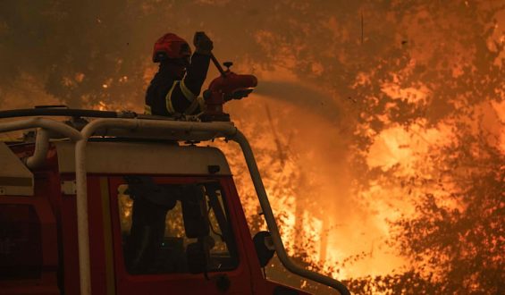 Waldbrände bedrohen Bordeaux und führen zu Notstand in Spanien