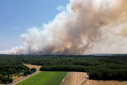 Großbrand im Wald von Fontainebleau: Ursachen und Auswirkungen