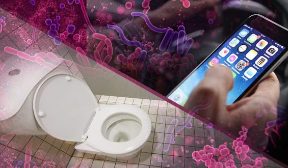Handy oder Toilette: Wo gibt es mehr Keime?