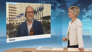 Google: Marktführer der Suchmaschinen