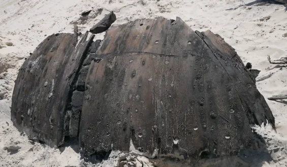 Historisches Schiffswrack auf Norderney entdeckt