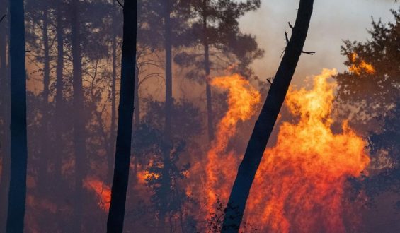 Waldbrände in Europa: Spanien und Frankreich kämpfen gegen das Feuer