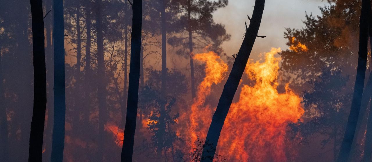 Waldbrände in Europa: Spanien und Frankreich kämpfen gegen das Feuer