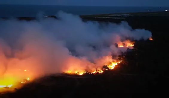 Waldbrand in England: Flammen bedrohen Atomkraftwerk und Ferienpark