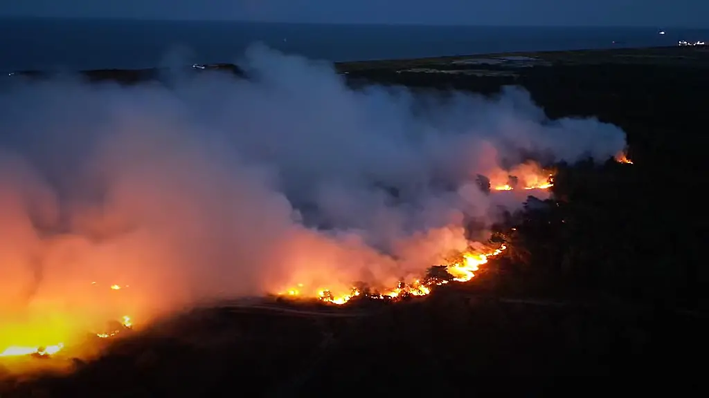 Waldbrand in England: Flammen bedrohen Atomkraftwerk und Ferienpark