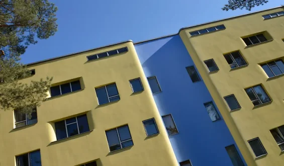 Hoffnung für die Papageiensiedlung in Berlin