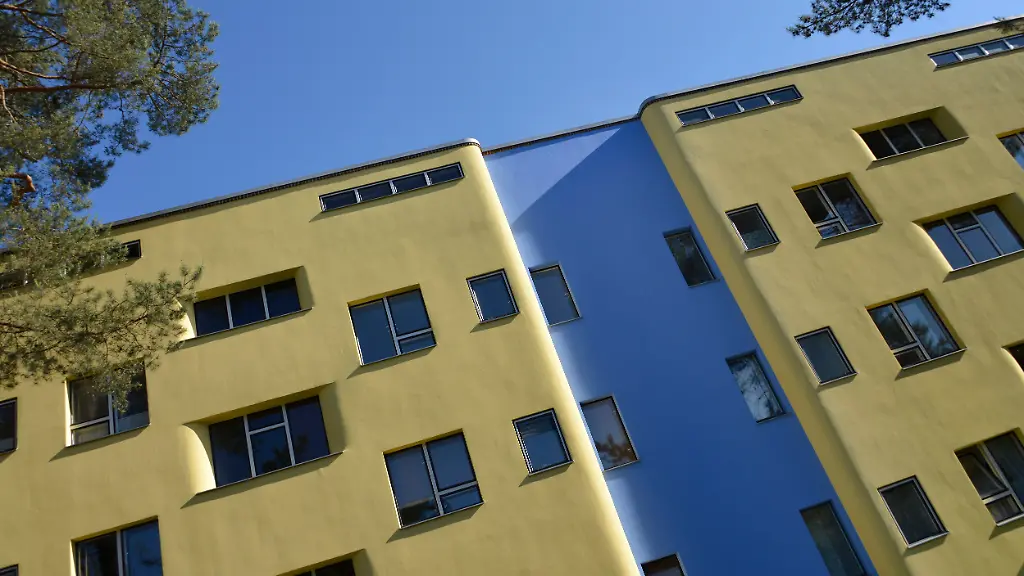 Hoffnung für die Papageiensiedlung in Berlin