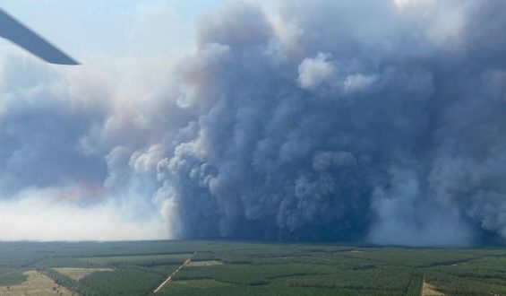 Pyrocumulonimbus-Wolken und ihre Auswirkungen