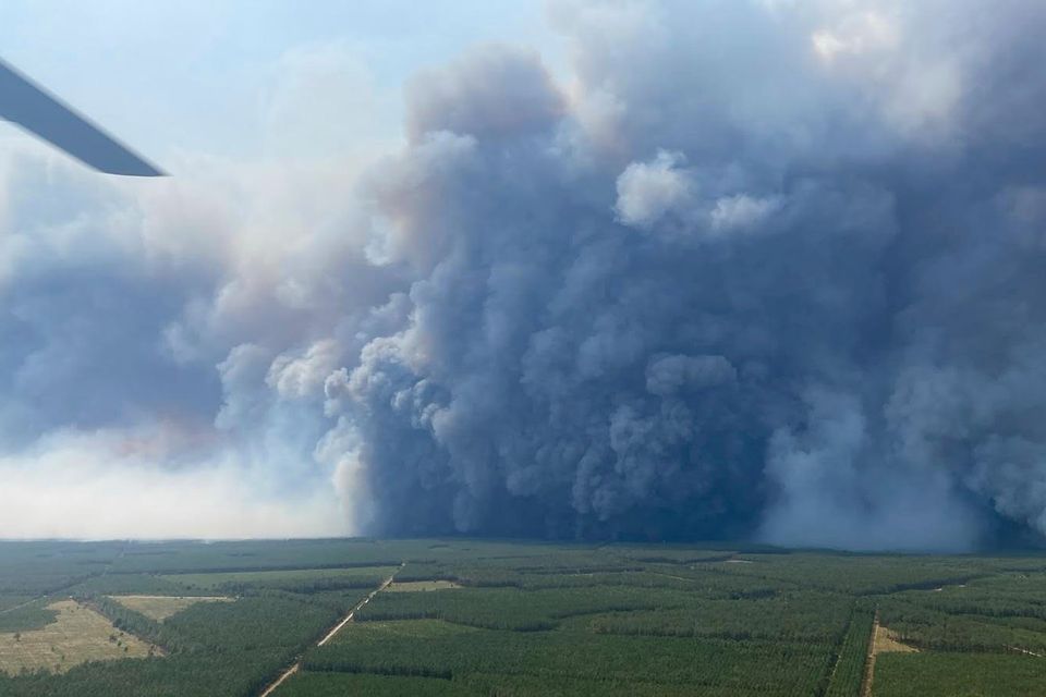 Pyrocumulonimbus-Wolken und ihre Auswirkungen