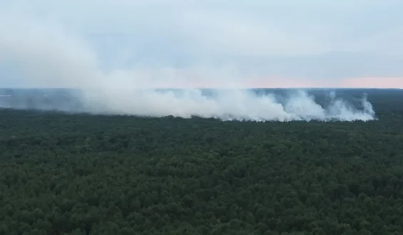 Feuerwehr kämpft gegen Waldbrand im Müritz-Nationalpark