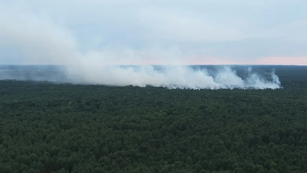 Feuerwehr kämpft gegen Waldbrand im Müritz-Nationalpark