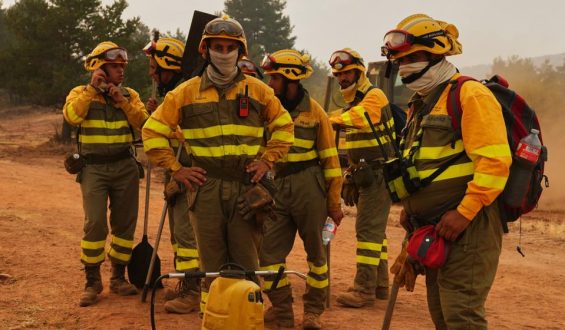 Waldbrände in Spanien und Portugal: Ursachen und Maßnahmen