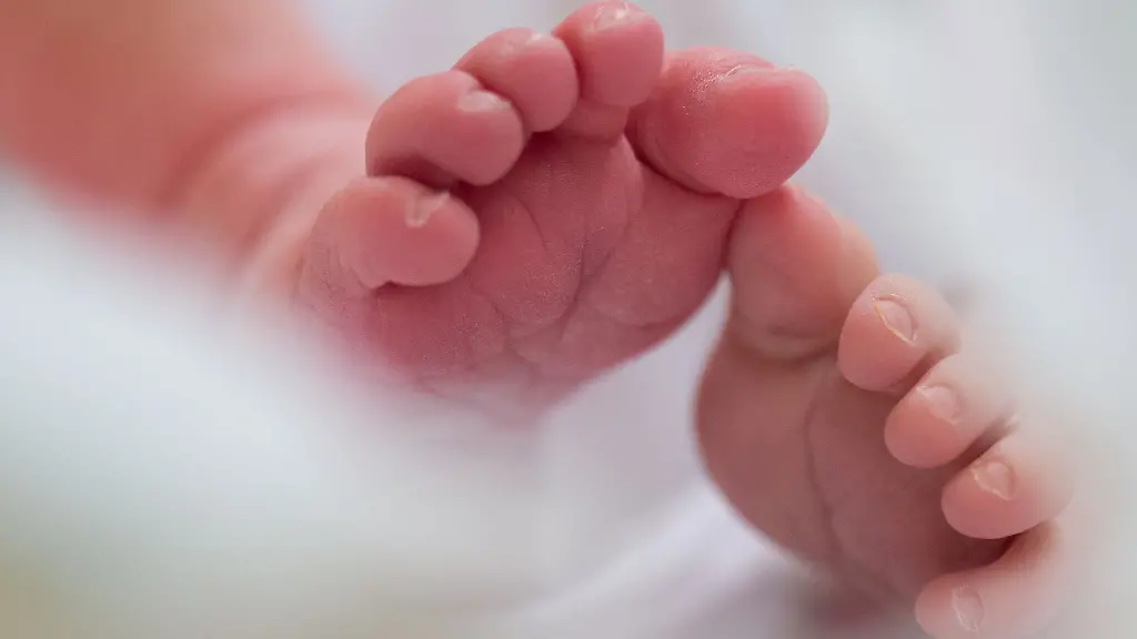 Geburtenrate in Deutschland erreicht neuen Tiefstand im Jahr 2025