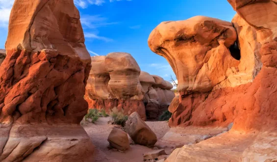 Trump verkleinert US-Naturschutzgebiete drastisch