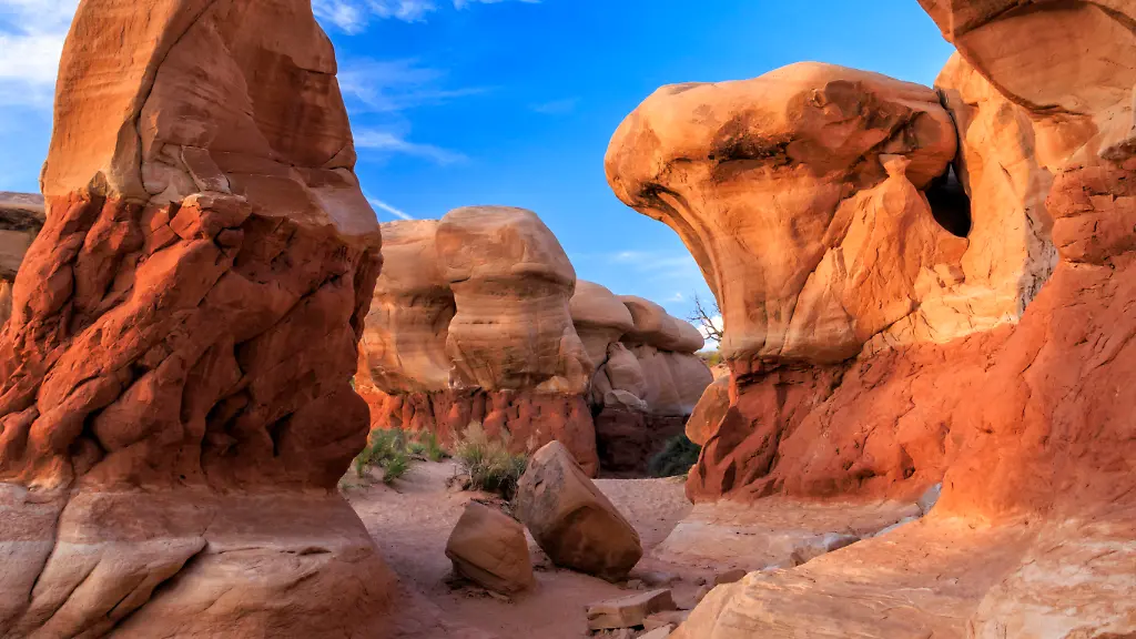Trump verkleinert US-Naturschutzgebiete drastisch