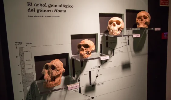 Menschliche DNA zeigt Spuren unbekannter Vorfahren