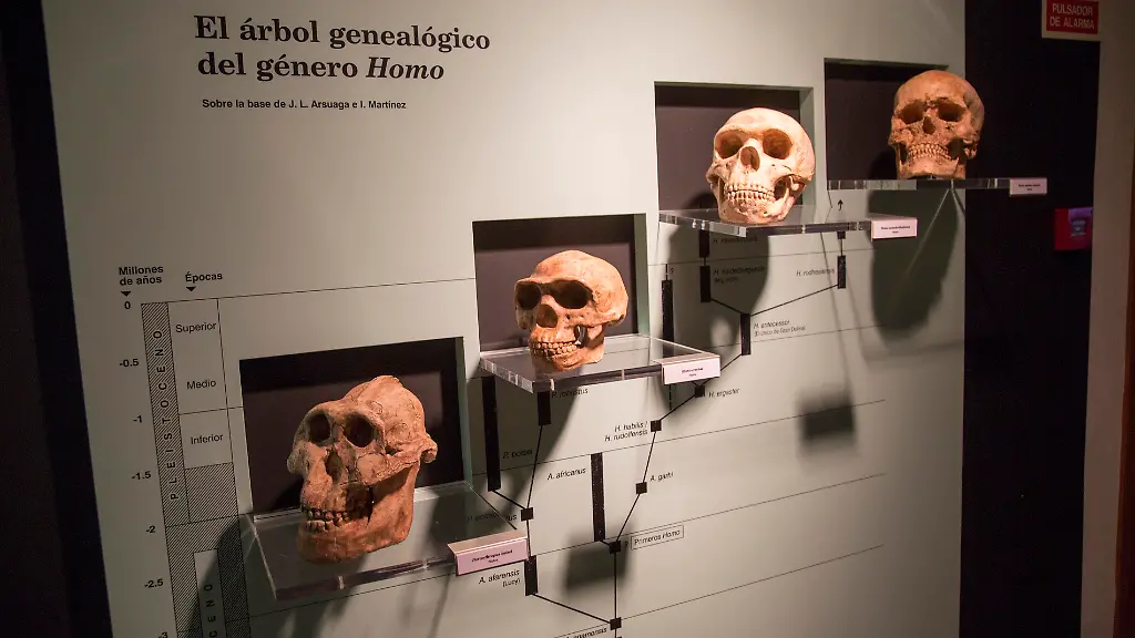 Menschliche DNA zeigt Spuren unbekannter Vorfahren