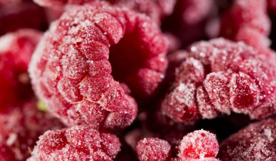 Rückruf von Tiefkühlbeeren wegen Norovirus-Verdacht