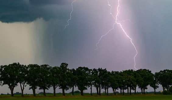Hitzewelle und Gewitter: Wetterextreme in Deutschland