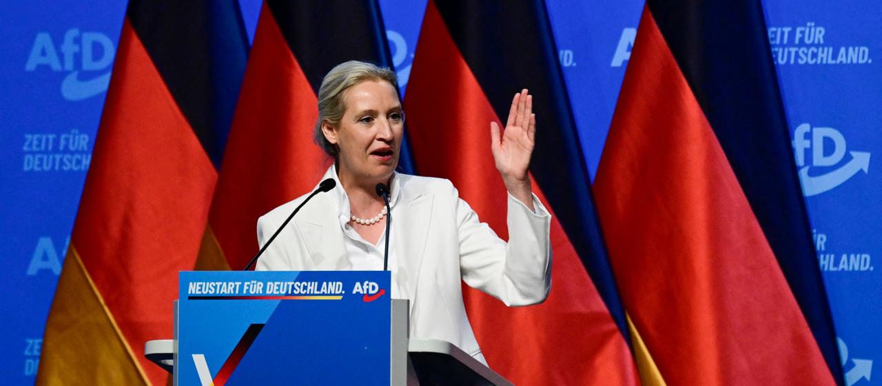 Analyse des AfD-Bundesparteitags: Machtkämpfe und Proteste