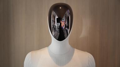USA verhängen Einfuhrverbot für chinesische Roboter und Wechselrichter