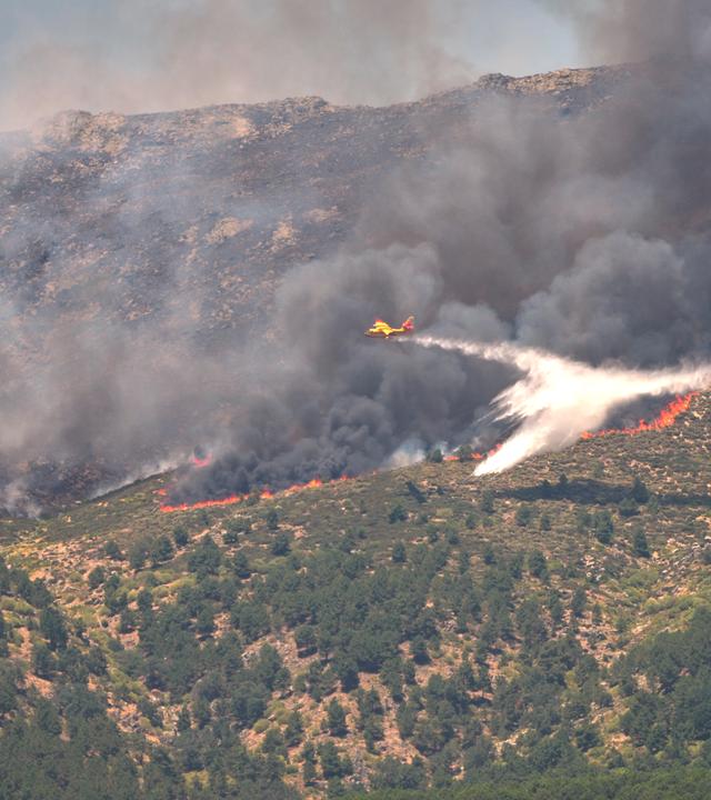 Provokante Kunst von Gustave Courbet im Museum Folkwang